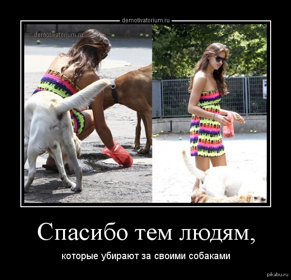 Выбрать прокси лучший сервис Сервис PROXYAN.net