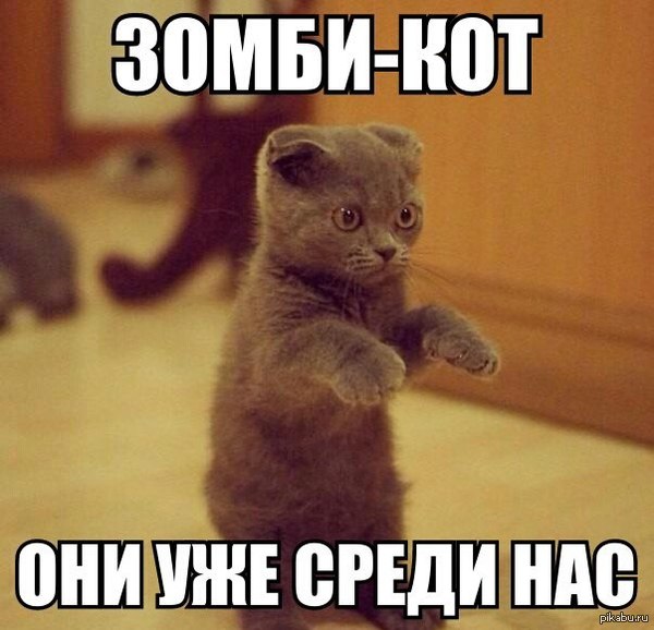 http://s3.pikabu.ru/post_img/2014/03/07/7/1394187622_1337112048.jpg